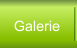 Galerie